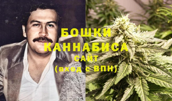 apvp Белокуриха
