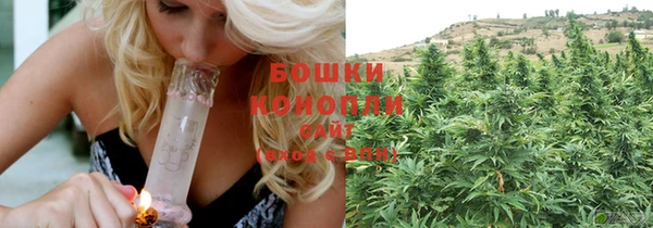 apvp Белокуриха